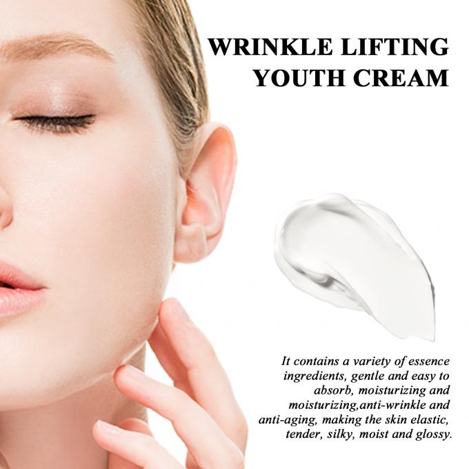 नियमित आकार एंटी एजिंग मॉइस्चराइजर ऑर्गेनिक प्राकृतिक adult wrinkle lifting cream 4
